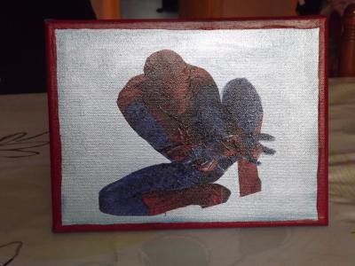 Toise Spider-Man cadre photos